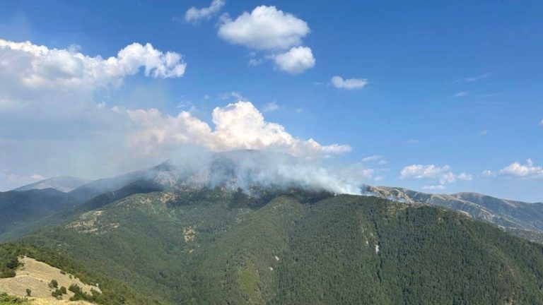 Пожарът от Гърция влезе в България