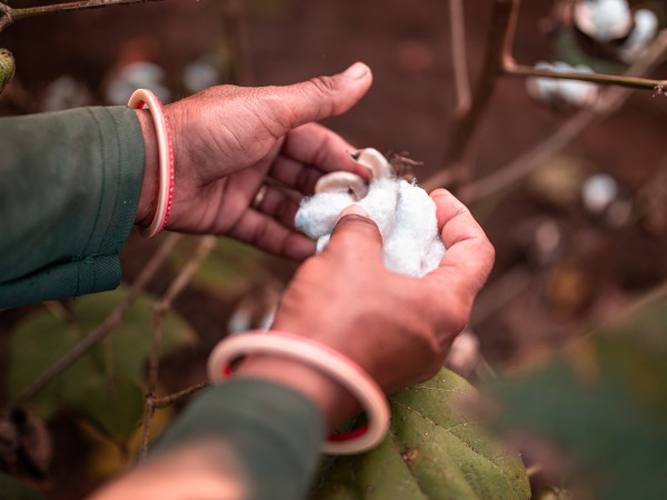 Pepco подкрепя инициативата Better Cotton