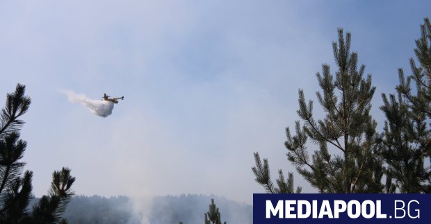 България е на второ място по горски пожари в Европа в 2024 година (Обновена)