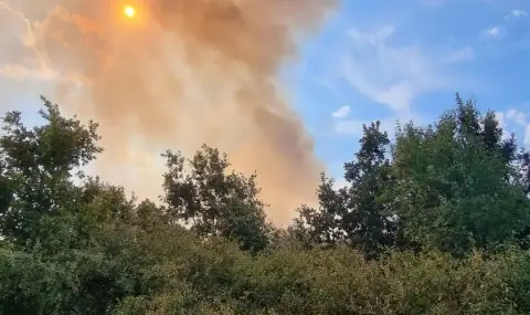 Горя склад за автомобилни гуми край сливенското село Чинтулово. Хеликоптери от Унгария и Словакия пристигнаха в Пловдив