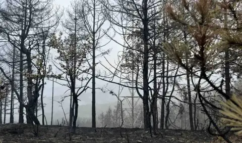 Пожарът в Пирин не стихва. Пети ден продължава борбата с огъня в Сунгурларе.
