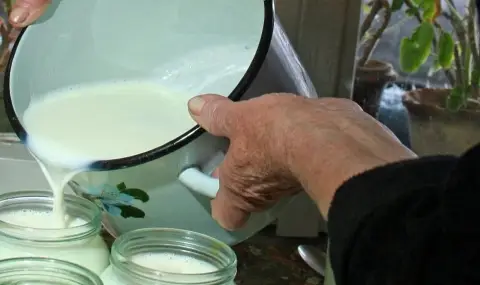 Изнесено заседание на КЗК с млекопроизводители в Пловдив
