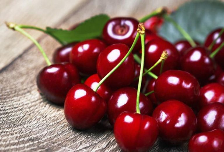Горчивият вкус на сладките череши: Сливенските овощари в капан