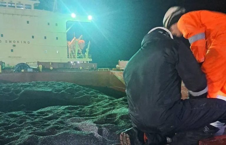 Проблемна пратка: Аржентински слънчоглед с опасни нива на пестициди достигна пристанището