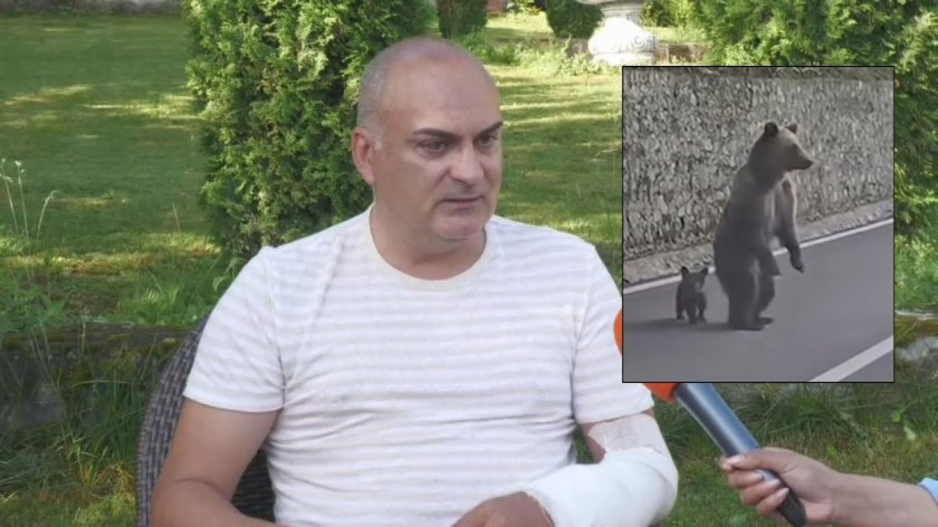 трансфъгърашан: когато стъклото се превръща в хартия пред силата на дива мечка