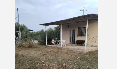 Расте интересът към вили в Гърция (ВИДЕО)