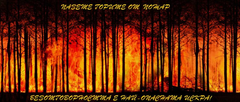 Летният сезон е критичен: Как да предпазим горите от изпепеляване?