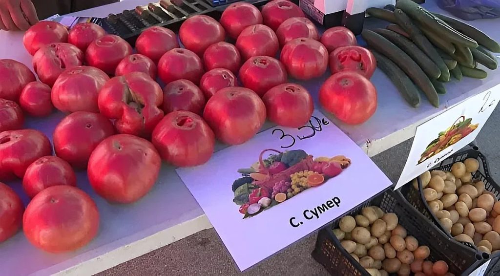 мездра диктува модата на цените: как седмичният пазар се превърна в убежище за портфейла
