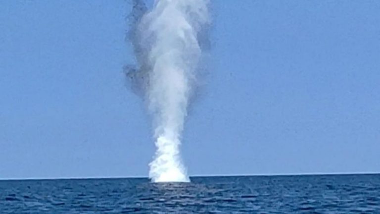 Мисия „Чисто море“: Как българската армия неутрализира дрейфащ обект
