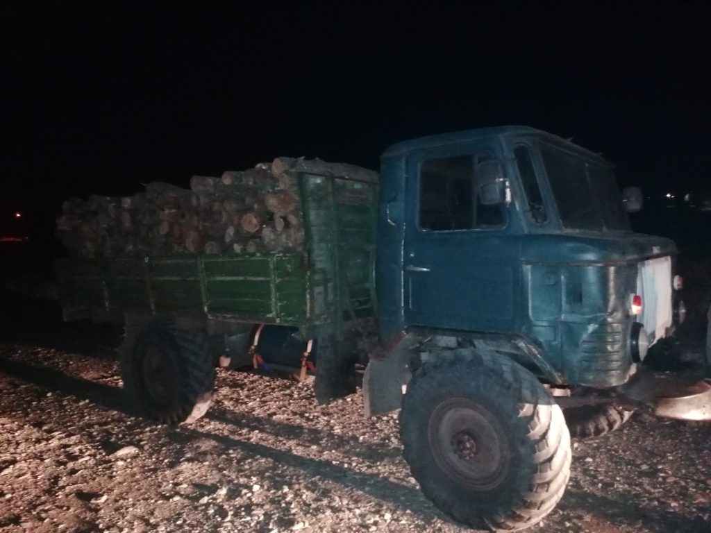 нощен патрул пресича дървената мафия: задържаха камион с 10 кубика незаконна дървесина