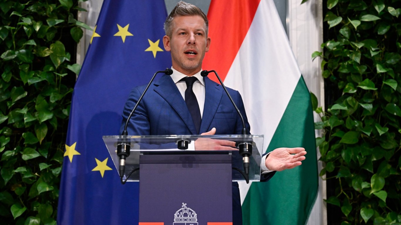 политическа чистка в будапеща: петер мадяр иска главата на президента
