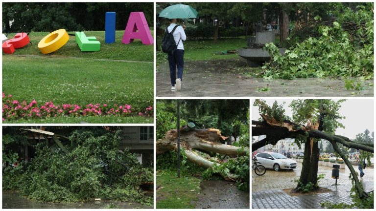 София се бори с последствията от мощна буря: Столицата под натиска на паднали дървета