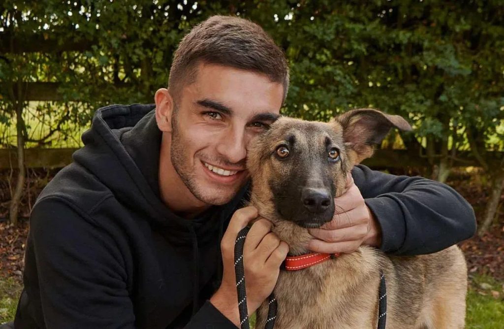 сърцето на шампиона: как едно изоставено кученце от дряново намери своя дом при звезда