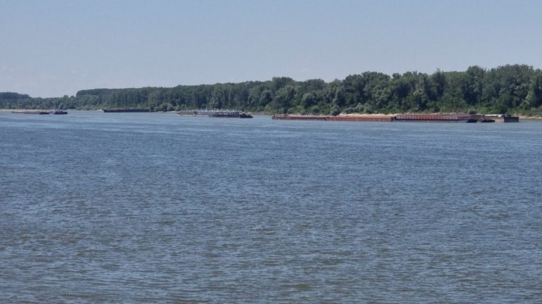 Трагедия в Козлодуй: Охлаждането в Дунав завърши с фатална загуба