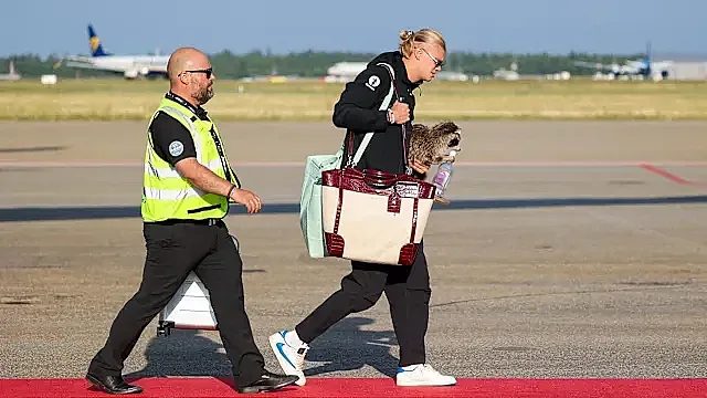 уиски, енот и футбол: лудостите на ерлинг холанд