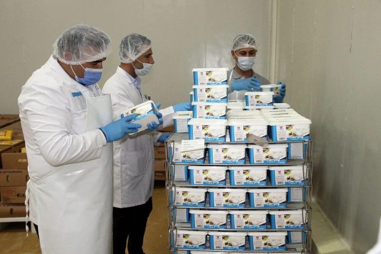 Фатална грешка на пътя за Гърция: Тонове български млечни продукти завършиха в коша