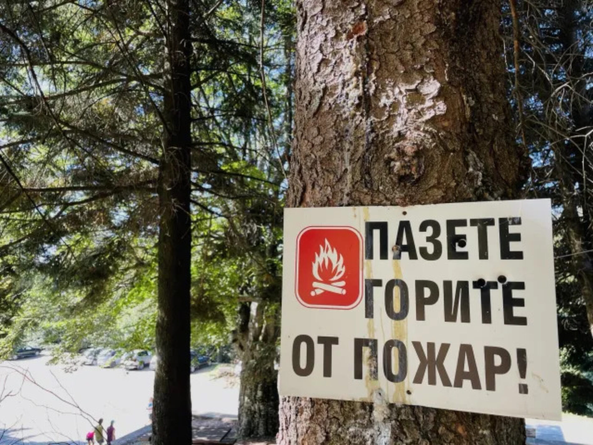 борба с пламъците в югоизточен регион: седмица на пожари и бързи реакции