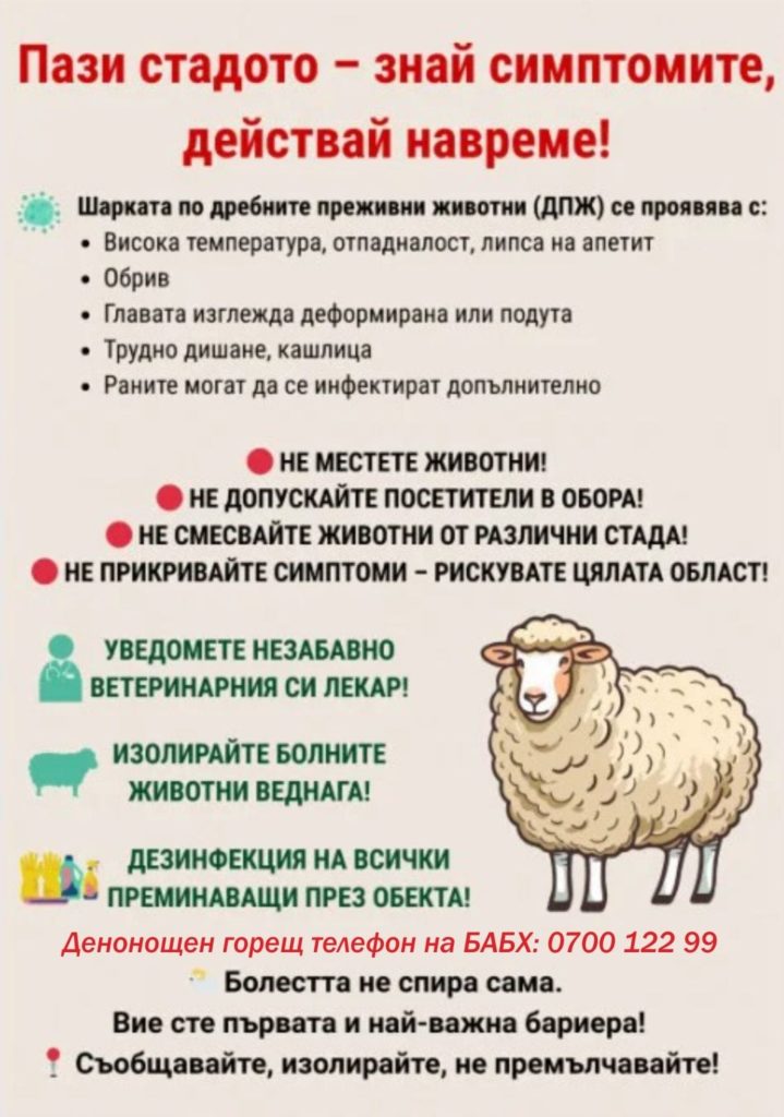 внимание, животновъди! как да защитим стадата от опасната шарка?