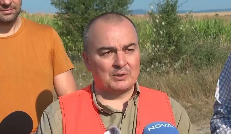 Домати за стотинки или голяма измама? Министърът на земеделието разкрива странни аномалии