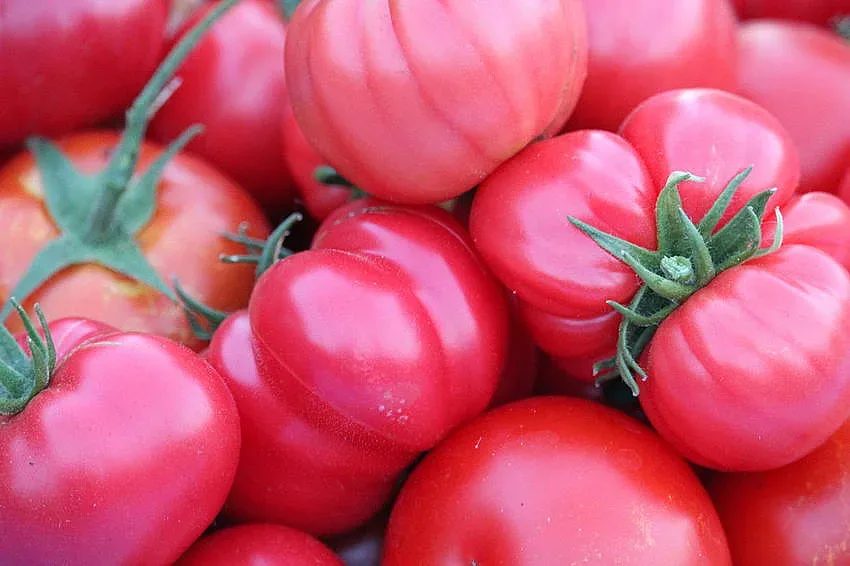 доматите „полудяха“, но другите продукти ни дават дъх