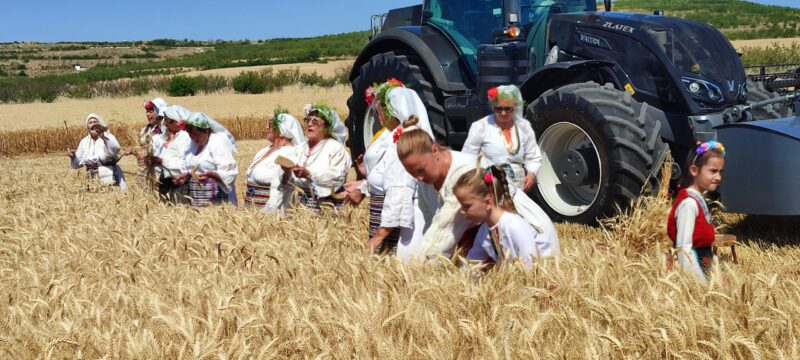 духът на земята: село камен отбеляза жътвата с автентични ритуали