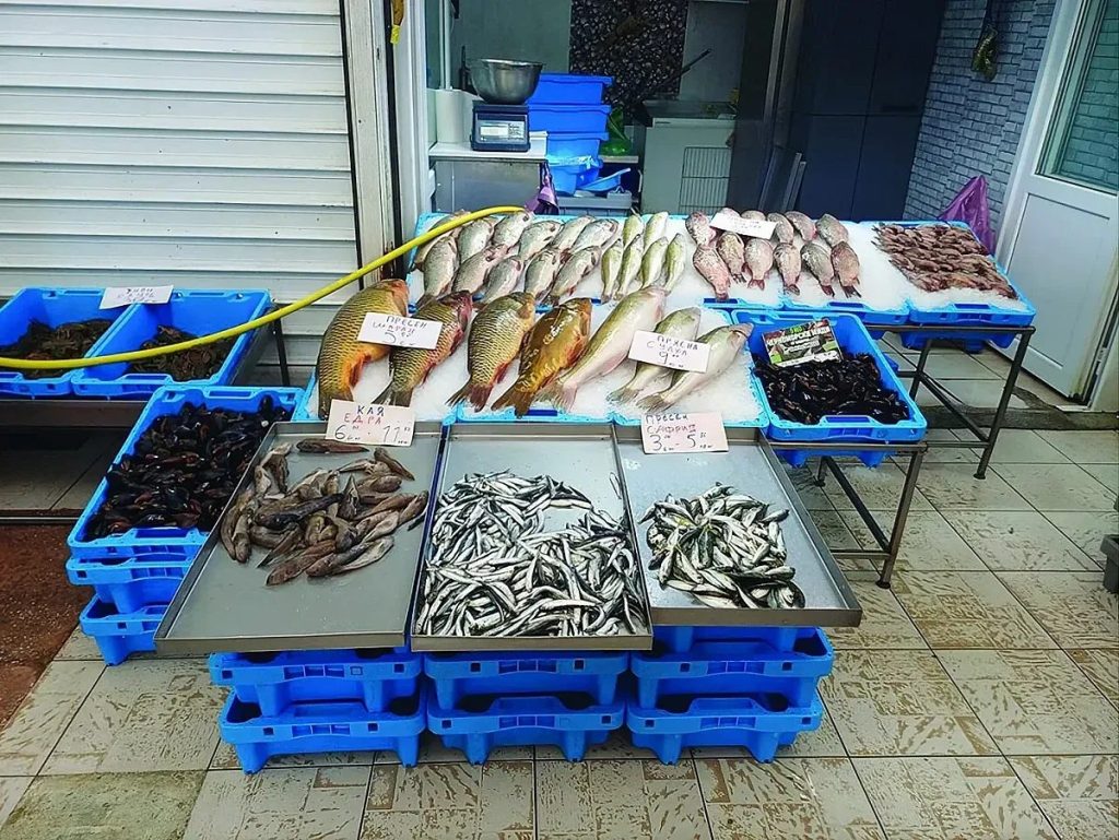 морски удар: паламудът подрани, а сафридът стана почти безплатен