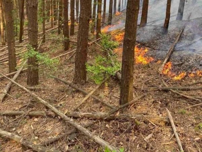 Огнен апокалипсис в Югоизточна България: Хиляди декари гори изпепелени за една седмица