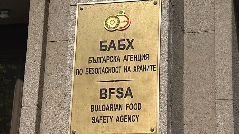 опасно грозде от турция: бабх спря тонове плодове с пестициди