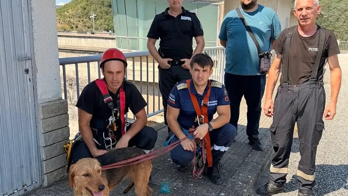 повече от просто работа: историята за човечността край язовир кърджали