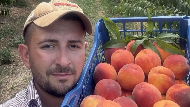 Сладостта на Сливенската котловина: Историята на семейство Котов