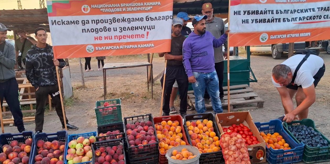 сливенските праскови в капан: между ниските цени и държавната бюрокрация