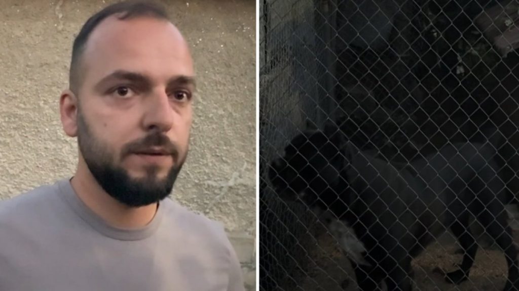 трагедия в кънчево: една забравена врата и жестоката атака на кане корсо