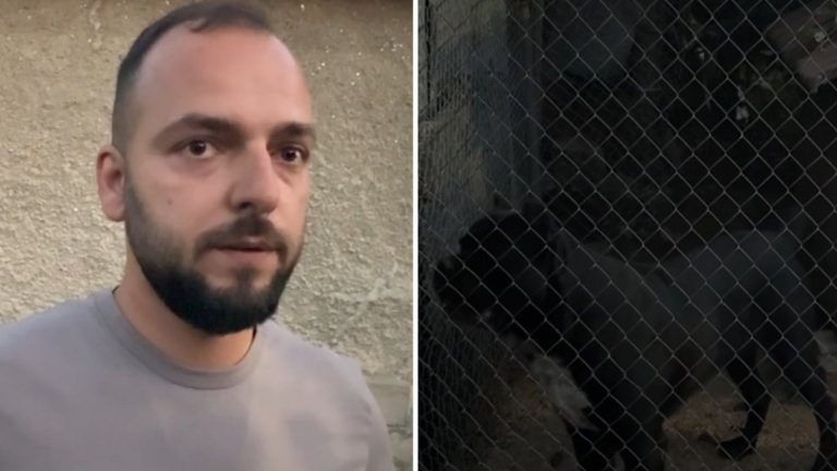 Трагедия в Кънчево: Една забравена врата и жестоката атака на Кане корсо
