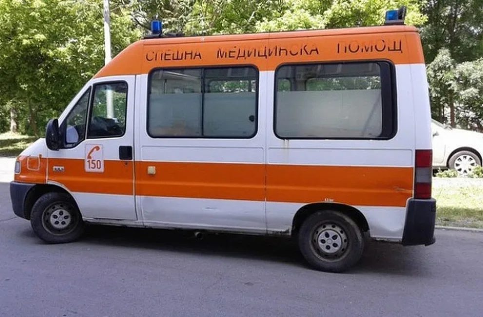 трагедия в кънчево: когато домашният любимец се превръща в заплаха за децата