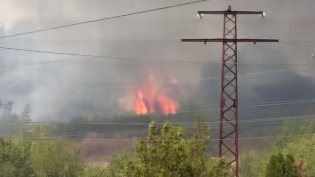 тревога в мездра: огън в вилната зона наложи спешна евакуация на деца