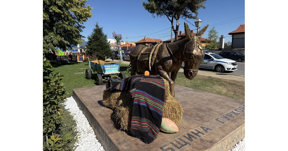 бронзовият пазител на гурково: среща с най-голямото магаре в българия