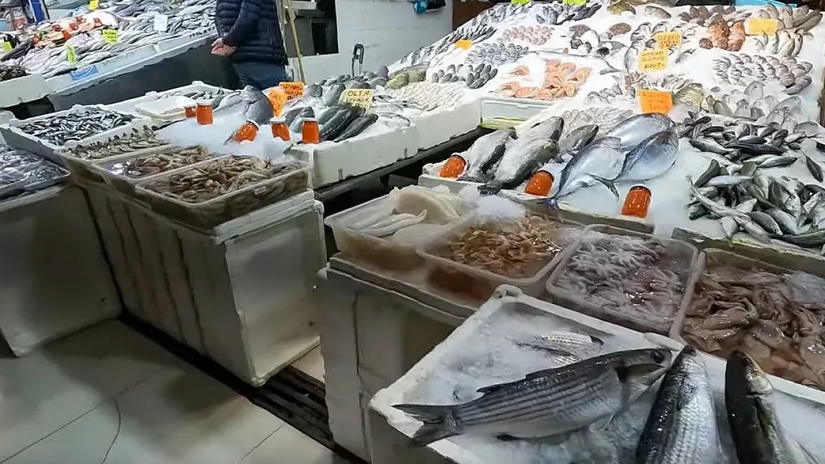 български кулинарни ентусиасти превземат пазарите в одрин заради изобилие от паламуд