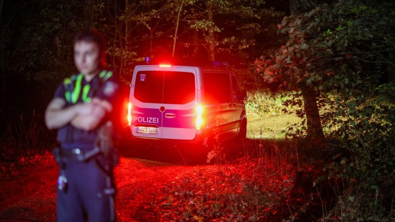 Германия под прицел: Невидимата война на Русия и Китай