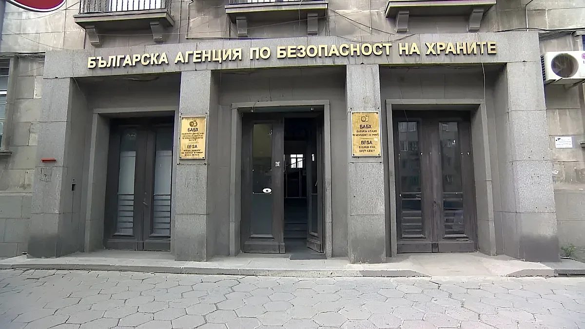 здравословно или просто скъпо? голямата проверка на ученическата храна започна