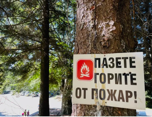 огън в югоизточна българия: битката за горите