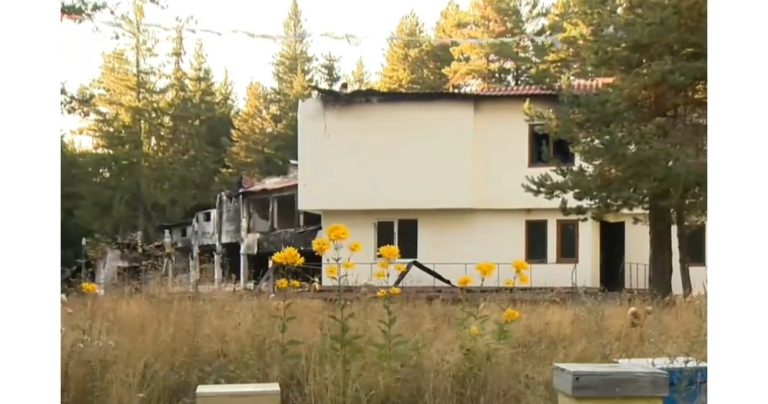 Тишината на Петрохан: Къде свършва разсъдъкът и започва ужасът?