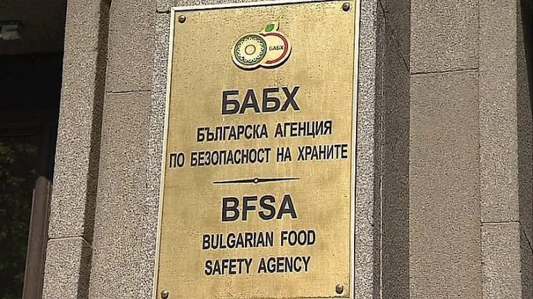 Фантомни стада в Кърджалийско: Над 300 говеда съществуват само на хартия