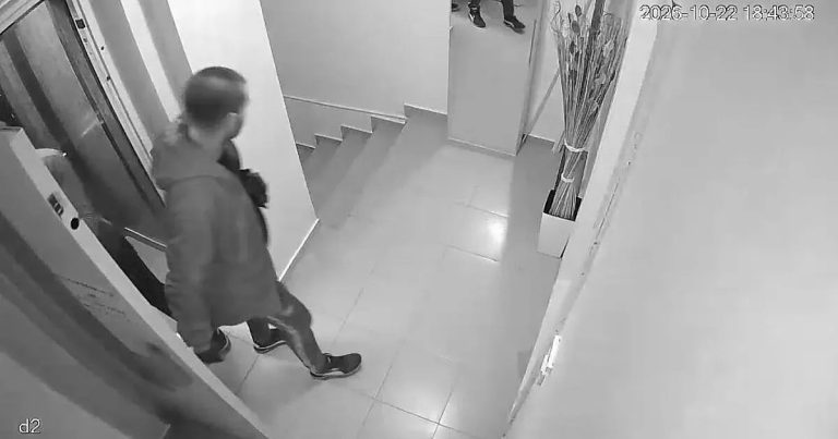 Виртуална слава за реални крадци: Защо МВР все още търси „звездите“ от варненското видео?