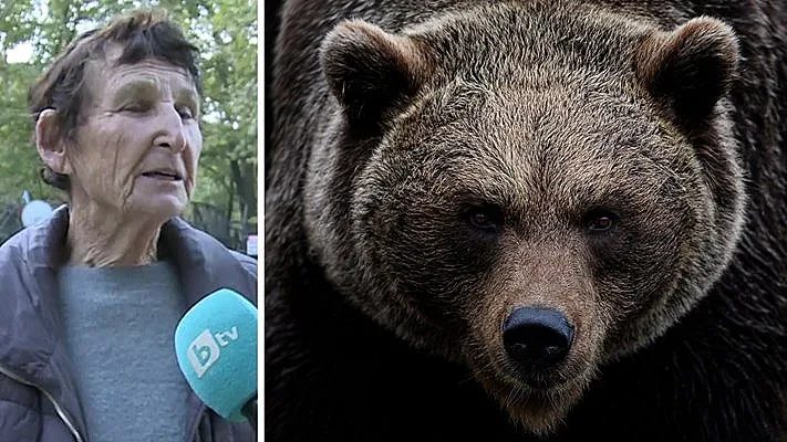 лице в лице с дивата природа: срещите, които сандански няма да забрави