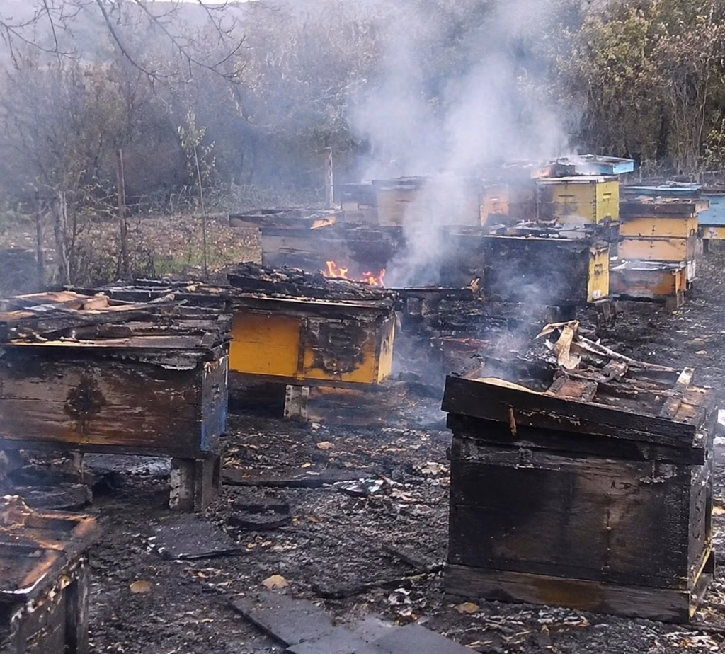огнена стихия остави стотици пчели без дом край село събрано