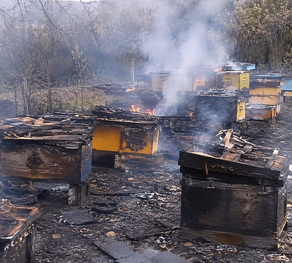 огнена стихия остави стотици пчели без дом край село събрано