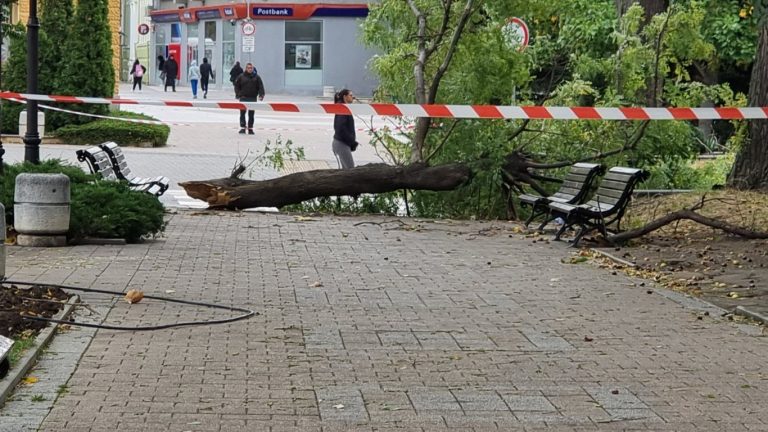 Опасност от небето: Ураганен вятър прати мъж в болницата под Сините камъни