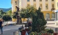 Седмичен обзор: Култура, здраве и обществени инициативи в Сливен