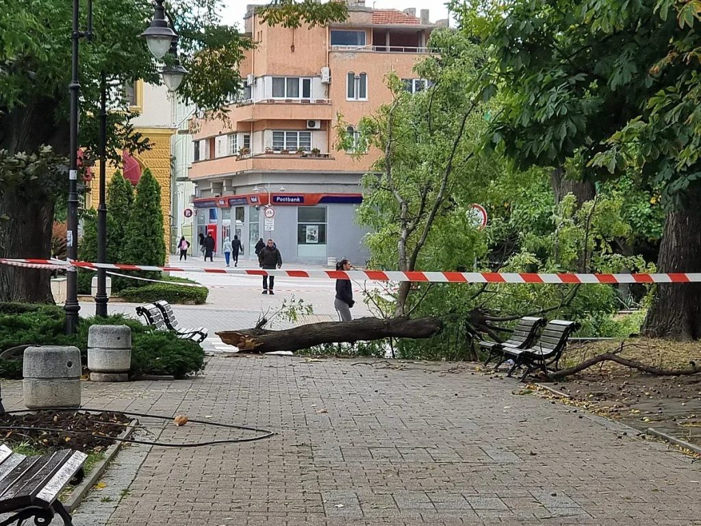 сливен: когато вятърът се превръща в убийца – борба за живот след тежка катастрофа