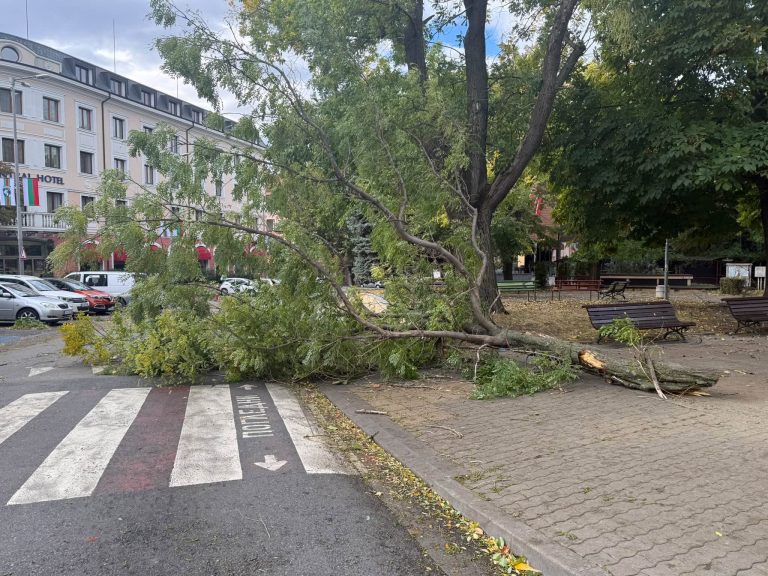 Сливен под обсадата на ураганен вятър: Инциденти и щети в града